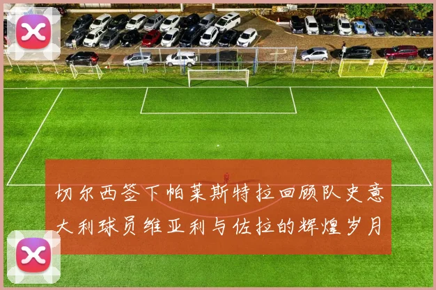 切尔西签下帕莱斯特拉回顾队史意大利球员维亚利与佐拉的辉煌岁月