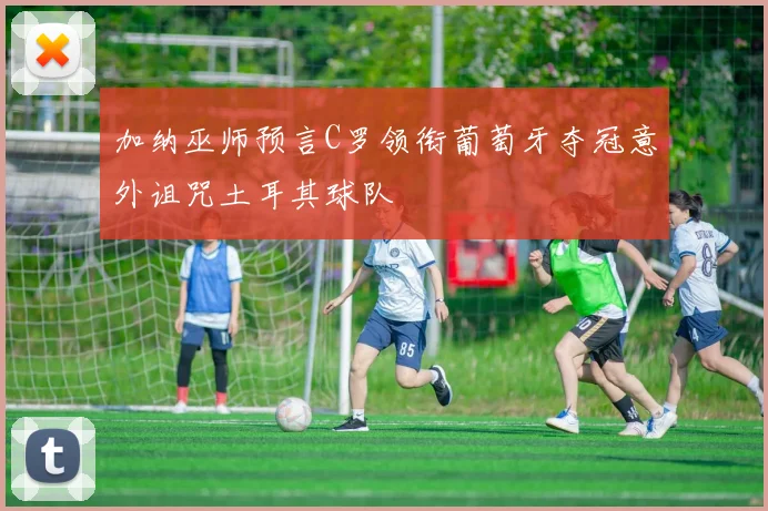 加纳巫师预言C罗领衔葡萄牙夺冠意外诅咒土耳其球队